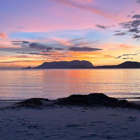 Rosa Dei Venti - Casa Maestrale - Sardegna - Iun R2217 Βίλα Όλμπια Εξωτερικό φωτογραφία